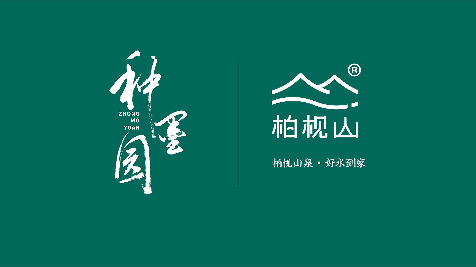 插入的图片