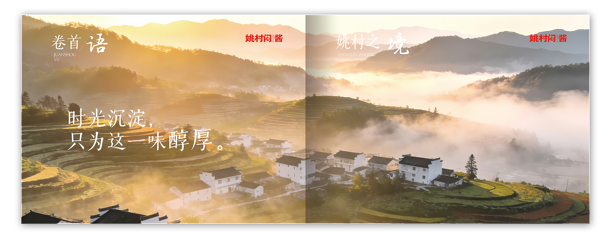 插入的图片